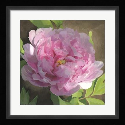Framed Peony In Pink II Print