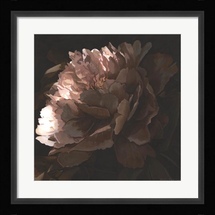 Framed Moonlit Peony II Print