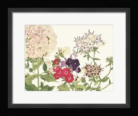 Framed Japanese Flower Garden II Print