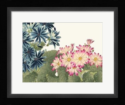 Framed Japanese Flower Garden IV Print
