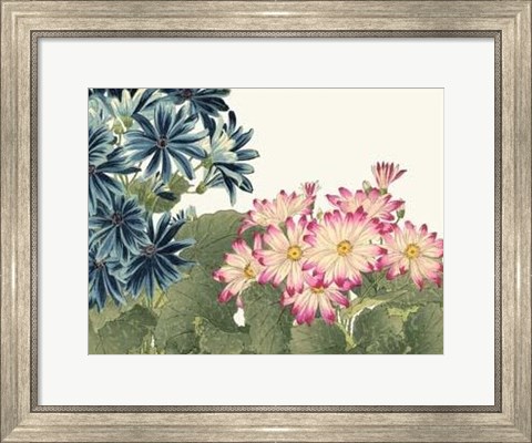 Framed Japanese Flower Garden IV Print