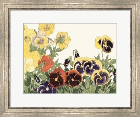 Framed Japanese Flower Garden V Print