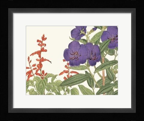 Framed Japanese Flower Garden VI Print