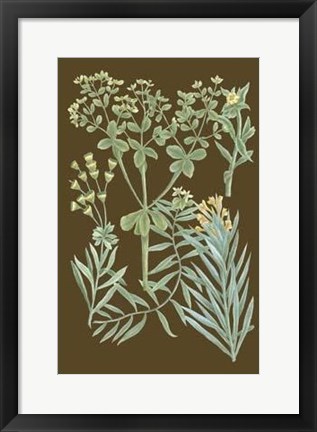 Framed Organic Greenery IV Print