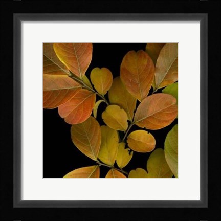 Framed Vivid Leaves I Print