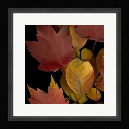 Framed Vivid Leaves IV Print