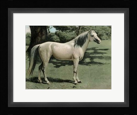 Framed Cassell's Horse I Print