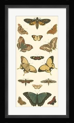 Framed Butterfly Panel I Print