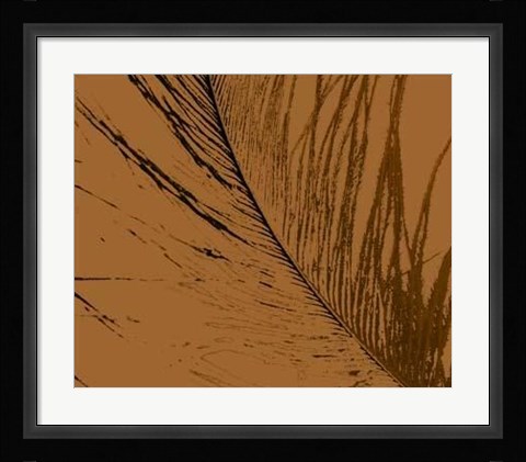 Framed Feathered Impression II Print