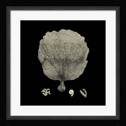 Framed Black And Tan Coral II Print