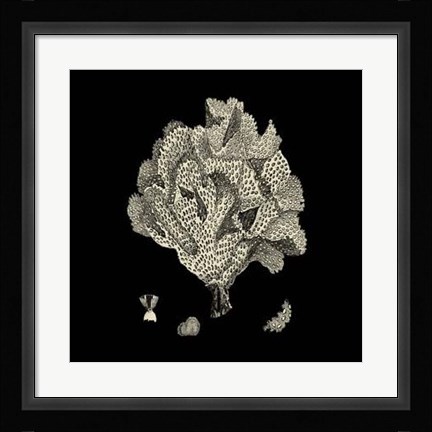 Framed Black And Tan Coral IV Print