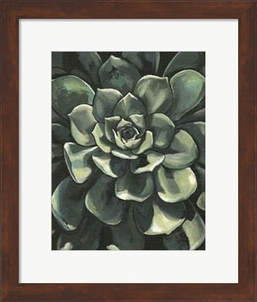 Framed Printed Lunar Succulent I Print