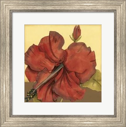 Framed Cropped Sophisticated Hibiscus III Print