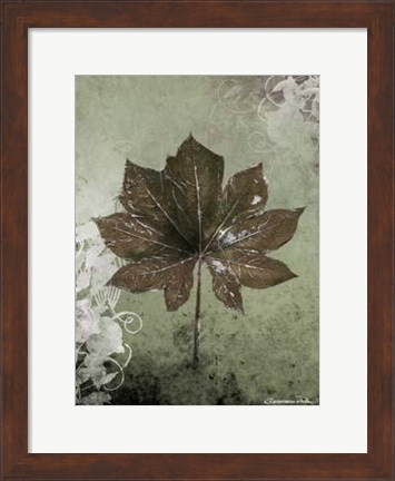Framed Dry Leaf I Print