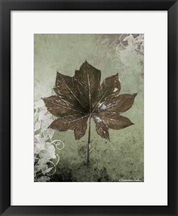 Framed Dry Leaf I Print