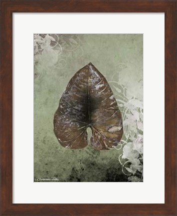 Framed Dry Leaf II Print