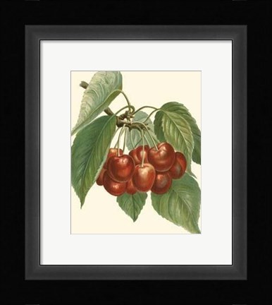 Framed Red Cherries Print
