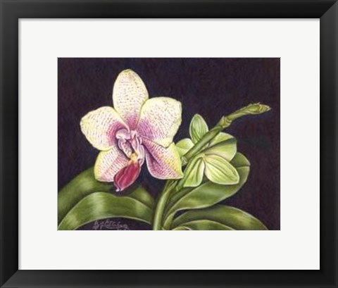 Framed Vibrant Orchid II Print