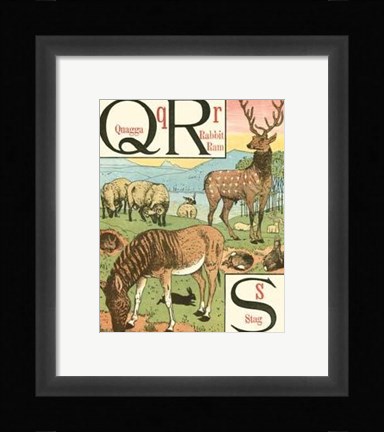 Framed Noah's Alphabet V Print