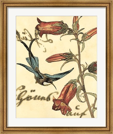 Framed Small Hummingbird Reverie I Print