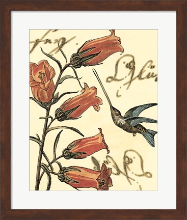 Framed Small Hummingbird Reverie II Print