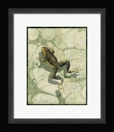 Framed Skinny Dippin' II Print