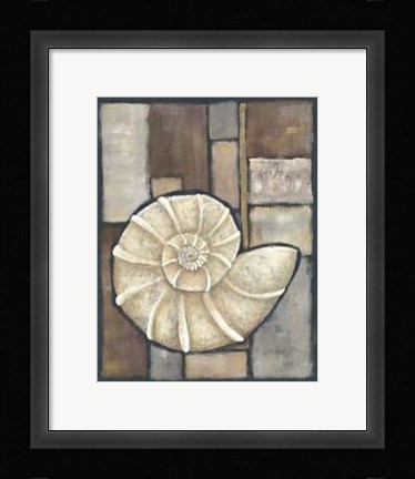 Framed Abalone I Print