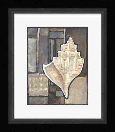 Framed Abalone II Print