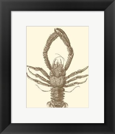 Framed Sepia Lobster II Print