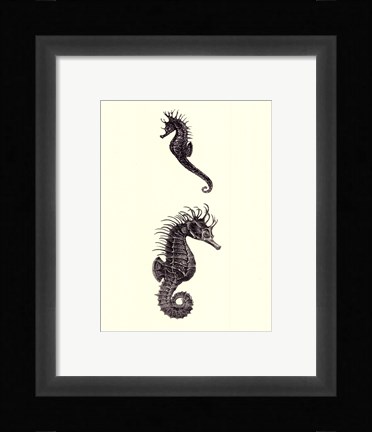 Framed Sepia Seahorse Print