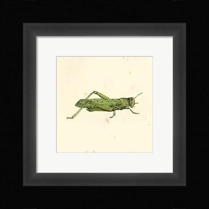 Framed Green Hopper Print