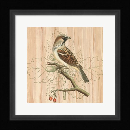 Framed Treetops III Print