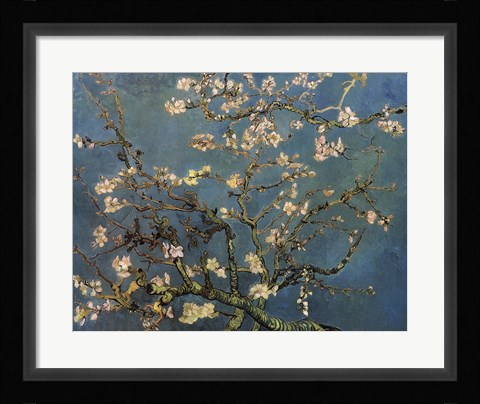 Framed Blossoming Almond Tree, Saint-Remy, c.1890 Print
