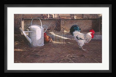 Framed Rooster And Watering Can Print