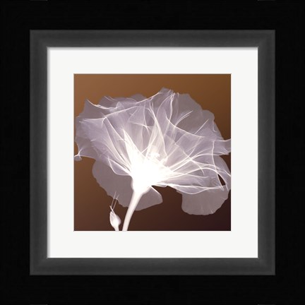 Framed Awaiting Bloom Print