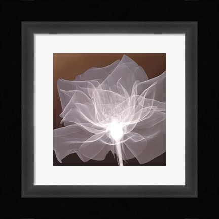 Framed Sheer Delicacy Print