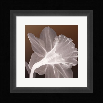Framed Ruffled Elegance Print