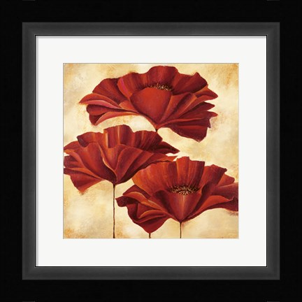 Framed Three Poppies II Print