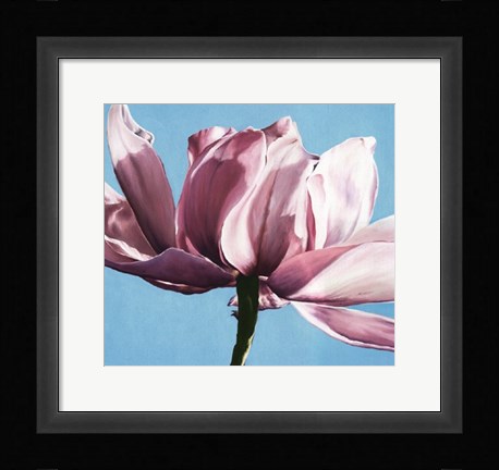 Framed Magnolia In A Cloudless Sky Print