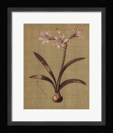 Framed Botanica Verde I Print