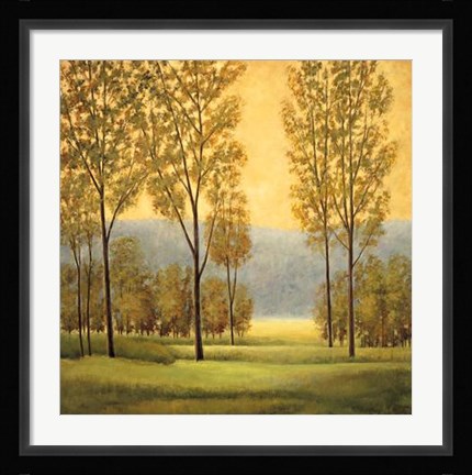 Framed Misty Morning I Print