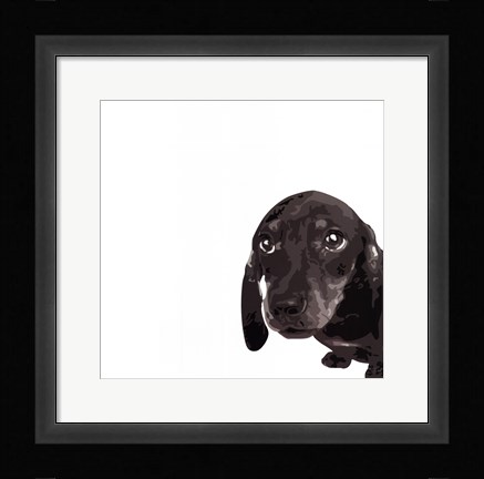 Framed Dachshund Print