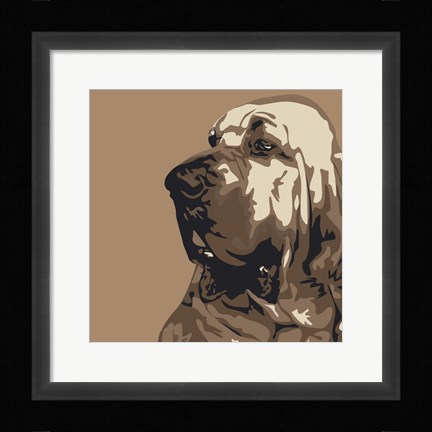Framed Bloodhound Print