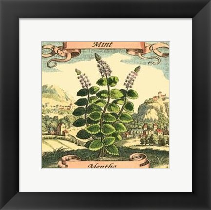 Framed Mint Print