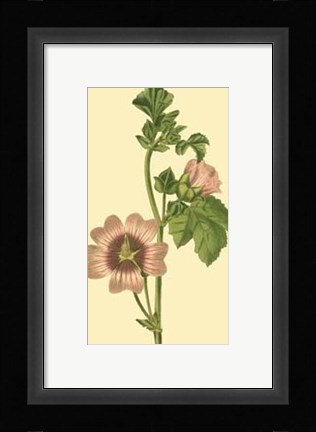 Framed Tropical Ambrosia II Print