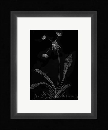 Framed Dandelion Garden I Print