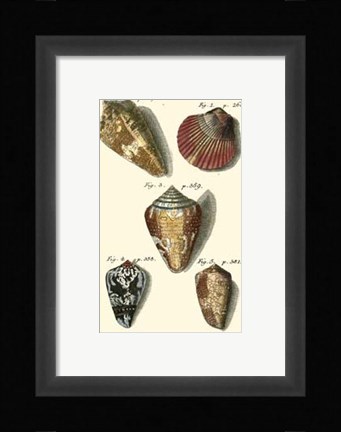 Framed Neptune's Treasure I Print