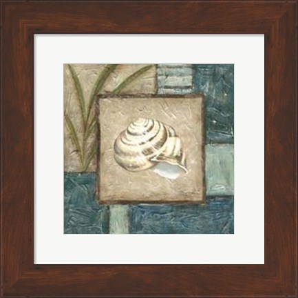 Framed Shell Montage III Print