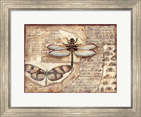 Framed Poetic Dragonfly I Print