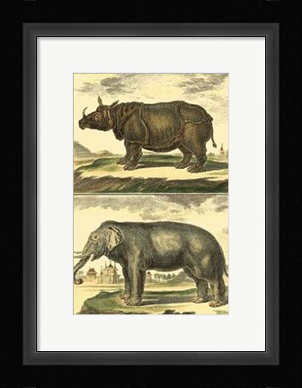 Framed Elephant and Rhino Print